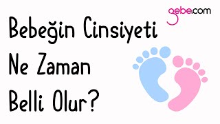 Bebeğin Cinsiyeti Ne Zaman Belli Olur Bebeğin Cinsiyeti Nasıl Anlaşılır [upl. by Ecadnac983]