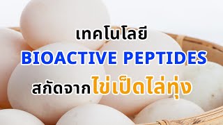 Ep 317 เทคโนโลยี Bioactive peptides สกัดจากไข่เป็ดไล่ทุ่ง [upl. by Dleifxam699]