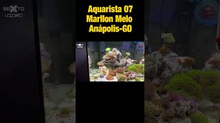 AQUARISTA 7 shorts [upl. by Mildrid]