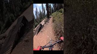 Missed all the drops lol mtb downhill gopro shorts [upl. by Ennaihs]