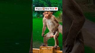 Happy new year 2024  new year 2024  status viral happynewyear2024 shorts ytshorts trending [upl. by Eciened140]