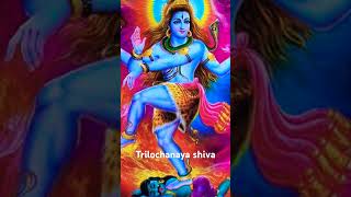 Nagendra trilochanaya shivaya 🙏🙏💰 divetiona song ohm namo shivaya vugra rupam natyam song [upl. by Crain427]