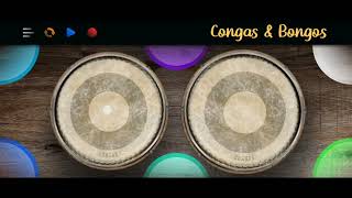 Congas amp Bongos Performance  Twenty Eight January [upl. by Noyrb]