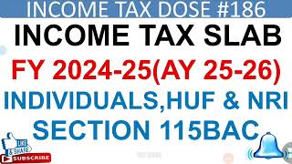 Income TAX SLAB FY202425 INDIVIDUALHUFNRICHANGE IN INCOME TAX SLAB2024INCOMETAX 2024Budget2024 [upl. by Eserahs]