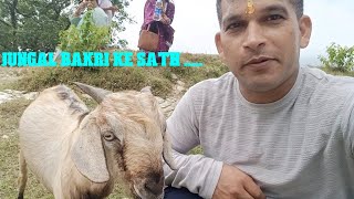 jangl gya bakri ke sath  kotdwar Khera dhaba tadkeshwar pahadibandha07 [upl. by Wehttan]