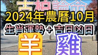 【古柏論命每月運勢吉日凶日】2024年農曆10月陽曆2024年111  1130生肖運勢分享  羊、雞 [upl. by Llenwad251]