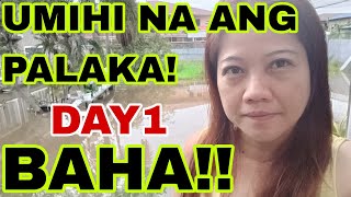 BAHA SA CALUMPIT DAY1 Pagwiwi pa lang ng palaka [upl. by Donetta259]