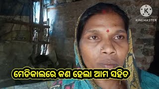 ମେଡ଼ିକାଲରେ କଣ ହେଲା ଆମ ସହିତ MilifamilyVlog Odiavlog [upl. by Lotsyrk500]