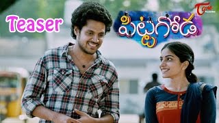 Pittagoda Telugu Movie Teaser  Viswadev Punarnavi  Pittagoda [upl. by Deryl]