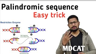 What is palindromic sequence palindrome in DNA2021palindrome kia hy easy way emdcat By zahid [upl. by Eimas]