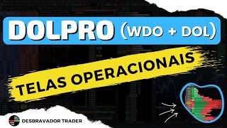 DOLPRO  Telas Operacionais [upl. by Akenor387]