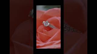 Black and Gold Bold Elegant Luxury Jewelry Mobile Video 4 [upl. by Ynaffik]