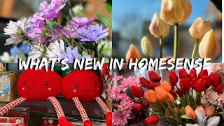 Whats new in Homesense  January  2024  Homeware  Spring Decor [upl. by Nanoc]