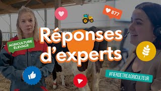 Comment bien minéraliser la ration de vos vaches [upl. by Narton]