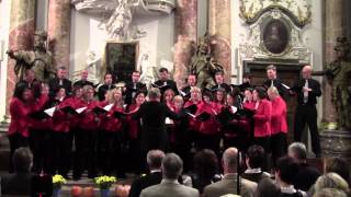 Günztaler Vocalensemble quotCanto cantoquot Lorenz Maierhofer [upl. by Libbi]