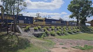 Triple headed Steelie at Condobolin NSW Australia [upl. by Lasser]