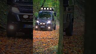 Rotie vs Autumn Who wears it better 🍂 🍁vanlife offroad [upl. by Micki724]