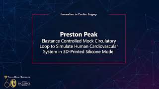 Elastance Controlled Mock Circulatory Loop Human Cardiovascular System in 3DPrinted Silicone Model [upl. by Quinta]