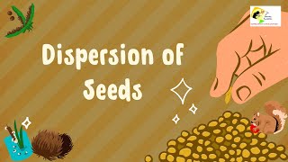 Watch A Large Variety Of Seeds Using Smart Dispersal Techniques [upl. by Staley493]