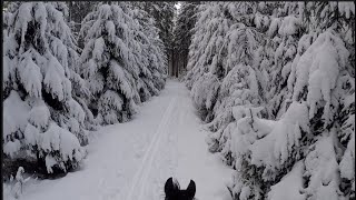 Magical Trail Ride in Snow Helmet Cam with Commentary 😂 [upl. by Socrates]