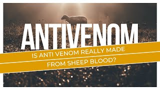 Is Anti Venom Really Made From Sheep Blood [upl. by Unity561]