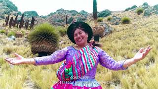 MUJER AYACUCHANA  PUQUIO PLAZAPI  VIDEO OFICIAL [upl. by Brackely]