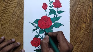 How to draw rose flowersRose flowers drawing [upl. by Elita]