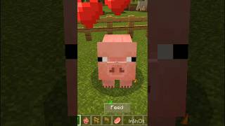 Minecraft pig viralvideo Sazid Vlog Bangla Minecraft pig is a very good [upl. by Avera]