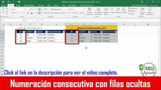 Promo  Numeración consecutiva con filas ocultas [upl. by Senior]