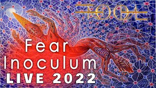 TOOL Fear Inoculum LIVE 2022 Multicam SOUND REMASTERED [upl. by Enomyar]