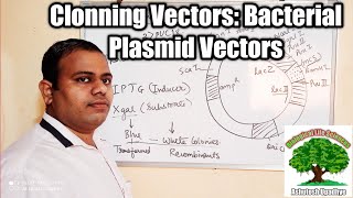 Cloning Vectors Bacterial Plasmid Vectors [upl. by Orgalim750]