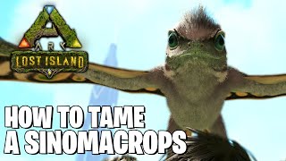 HOW TO TAME A SINOMACROPS IN ARK SURVIVAL LOST ISLAND [upl. by Abroms980]