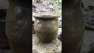 Making a Clay Pot In Forest for cooking pottery cooking potwildlife shortvideo [upl. by Cired]