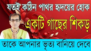 যতই কঠিন পাথর হৃদয়ের হোক। একটি গাছের শিকড় তাকে আপনার ভৃত্য বানিয়ে দেবে। [upl. by Ainnet]