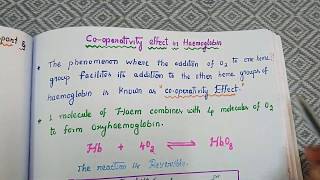 CooperativityEffect in Haemoglobin [upl. by Nyllaf]