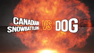 Yukigassen Match Canadian Snowbattlers vs Dog [upl. by Ahsaekal643]