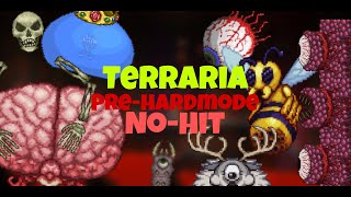 Terraria ALL PREHARDMODE BOSSES NOHIT Master mode [upl. by Leik]