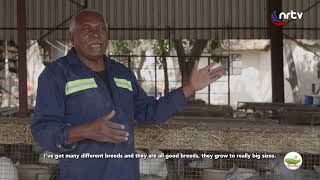 David Guy Mutasa Rabbit Farmer  Breadbasket [upl. by Niels]