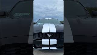 Franjas para Mustang blancas vinil wrap Arlon Mazatlan Sinaloa México [upl. by Tnerual]