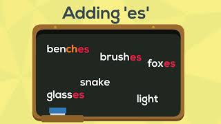 Singular amp Plural Nouns by Adding ES  English Grammar For Kids with Elvis  Grade 1 [upl. by Saraiya487]