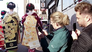 A Stroll Through Minamiza amp Miyagawacho’s Geisha District in Kyoto  京都、宮川町～南座を歩く美人舞妓さんと外国人観光客、海外の反応 [upl. by Salas]