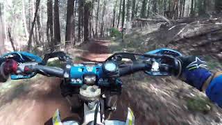 Wilseyville Sprint Enduro 2023 First Test [upl. by Rives]