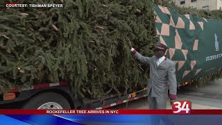 Rockefeller Tree Arrives in NYC [upl. by Irpac]