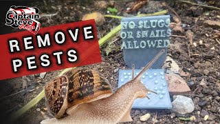 Remove Slugs And Snails From Your Garden With These Anti Pest Signs 3D Printed  Vlog [upl. by Lapotin]