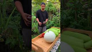 October ASMR Garden Grocery [upl. by Ernesto]