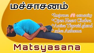 How to do Matsyasana easy way in tamil  மச்சாசனம்  Fish pose yoga [upl. by Cathi]