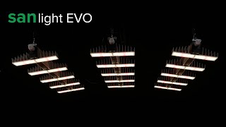 Sanlight EVO 5 LED grow light test and review [upl. by Aridan]