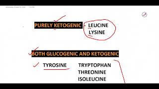 AMINO ACIDS GLUCOGENIC AND KETOGENIC ACIDIC AND BASIC [upl. by Nee]