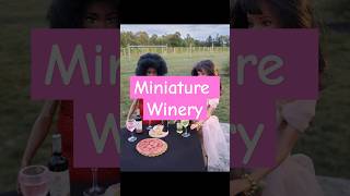 Mini Winery with Polymer Clay Food shorts polymerclay [upl. by Htidra]