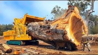 Great wood chipper in action Extremely fast and powerful wood chipper [upl. by Kimberli669]